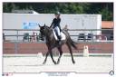 Castrone PFS Pony Francese da Sella In vendita 2011 Nero ,  HILKENS BLACK DELIGHT