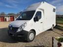 Van per Cavalli Renault Master 2018 Occasione