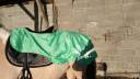  - Altra Marca - Occasione