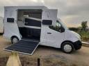 Van per Cavalli Renault Master 2017 Occasione