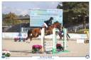 Castrone PFS Pony Francese da Sella In vendita 2022 Sauro brul&eacute; ,  OPPLALA ST HYMER