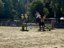 Cavalla sBs Cavallo da Sport Belgio In vendita 2018 Baio ,  diarado