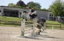 Castrone PFS Pony Francese da Sella In vendita 2020 Grigio