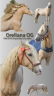 Orellana OG - PRE Andaluso 2019 ,  JOVIAL BB