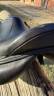 Sella mista   17.5" - 2020