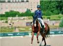 Cavalla Hanovrien In vendita 2016 Sauro ,  dream of glory