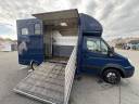 Van per Cavalli Iveco  2009 Occasione