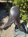 Sella mista Thorowgood  T8 GP Compact 17.5" - 2014