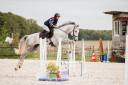 Castrone Cavallo da Sport Irlandese In vendita 2022 Grigio ,  Don vhp z