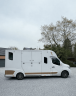 Van per Cavalli Theault THEAULT RENAULT MASTER 2021 Occasione