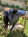 Sella amazzone  BP Swain - Side Saddle  17.5" - 1996