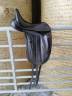 Sella da dressage KENT & MASTERS Dressage Comp&eacute;tition 17" - 2024