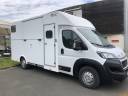 Van per Cavalli AP Petit Peugeot Boxer L4  2020 Nuovo