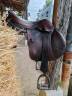 Sella mista Forestier  17.5" - 2021