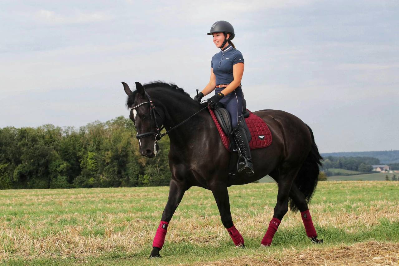 Cavalla PRE Andaluso In vendita 2018 Nero
