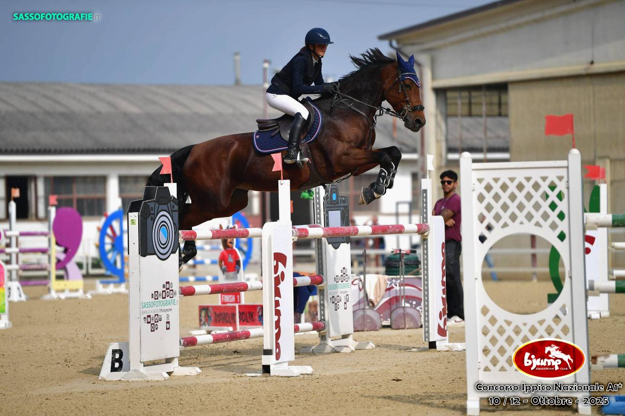 Cavalla da salto ostacoli, di 10 anni, Sella Francese