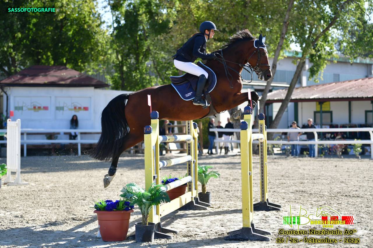 Cavalla da salto ostacoli, di 10 anni, Sella Francese