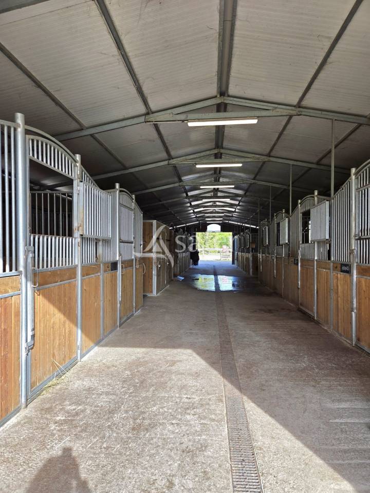 Propriet&agrave; equestre In vendita Indre-et-Loire