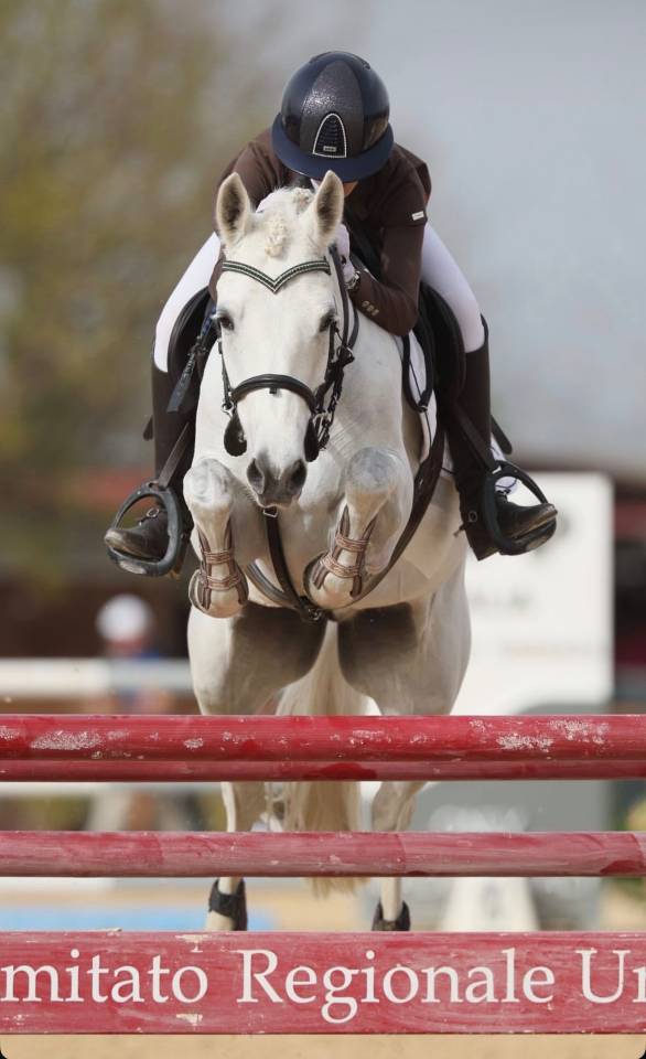 AFFITTO -  BARNACOGHIL DEXTER