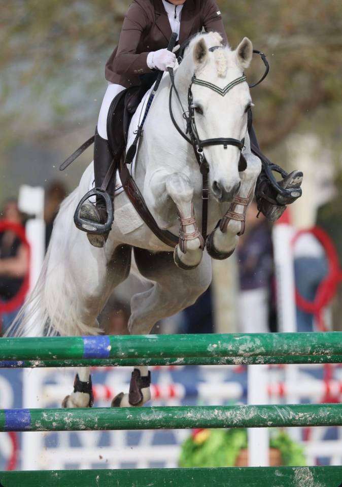 AFFITTO -  BARNACOGHIL DEXTER