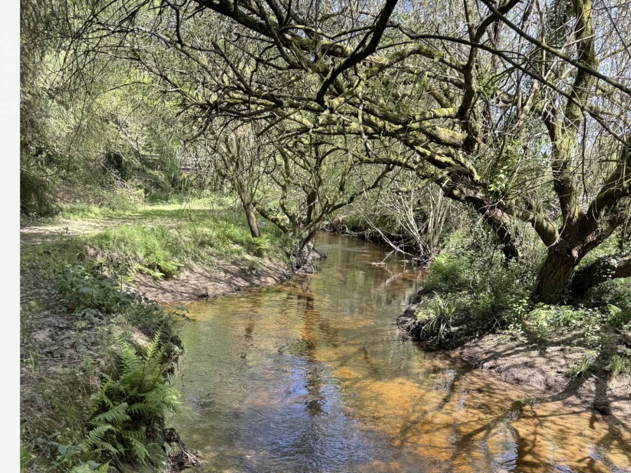 Propriet&agrave; equestre In vendita Morbihan