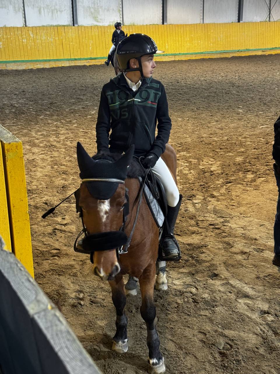 Vendesi pony 9 anni monta inglese 