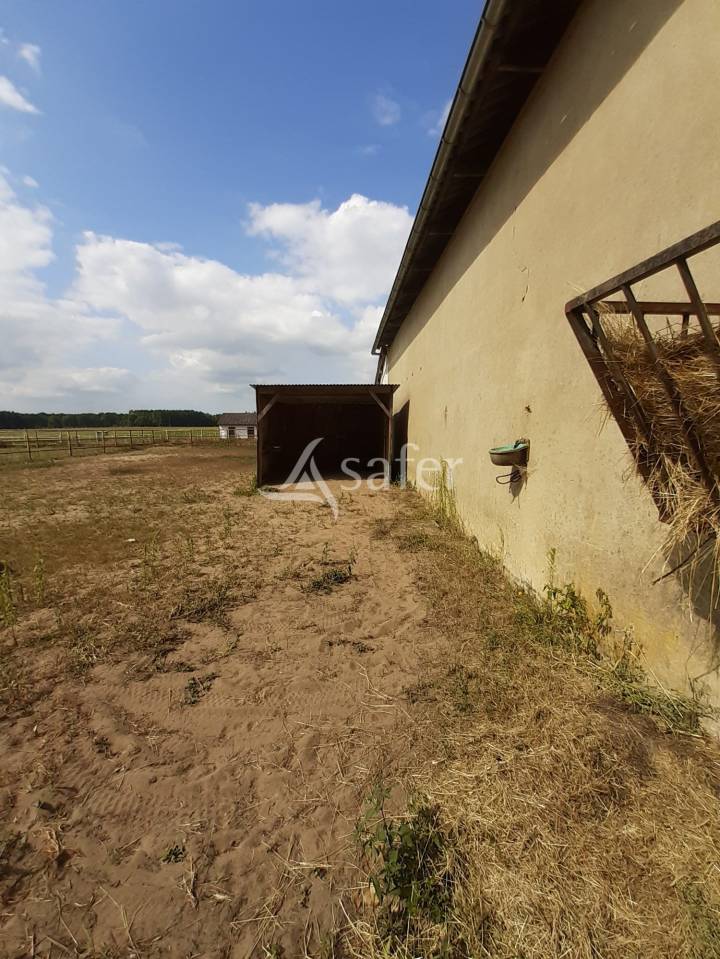 Propriet&agrave; equestre In vendita Sarthe