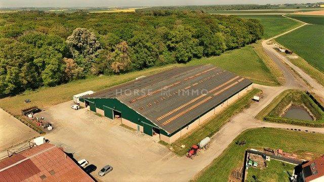Centro di stagione cavallo In vendita Oise