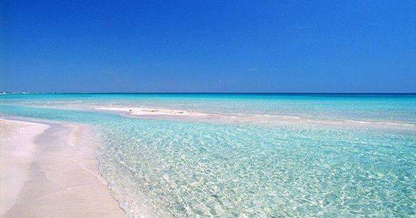 Propriet&agrave; equestre Noleggio Taranto