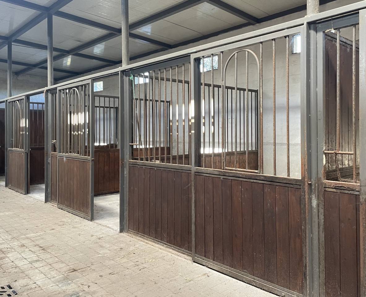 Propriet&agrave; equestre Noleggio Taranto