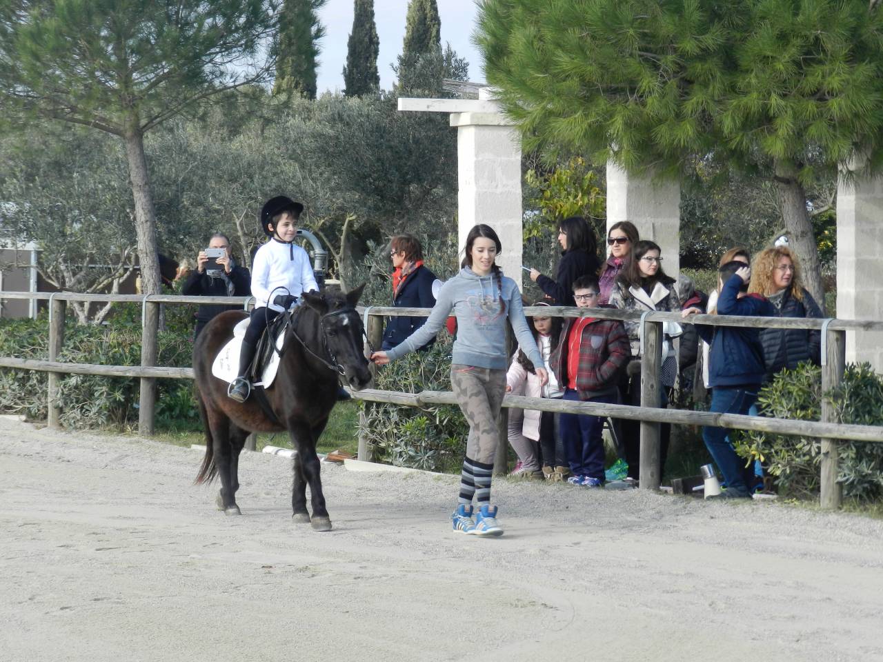 Propriet&agrave; equestre Noleggio Taranto