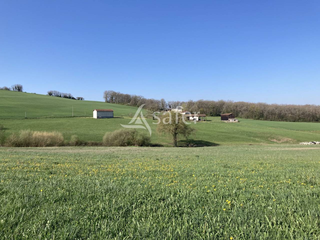 Azienda agricola In vendita Lot-et-Garonne