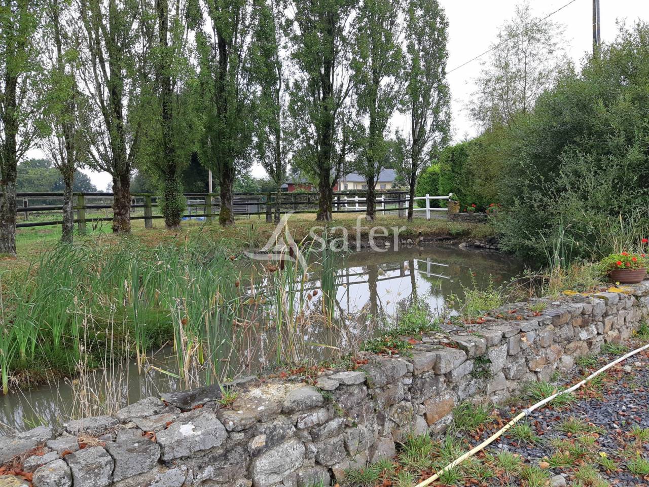 Azienda ovina In vendita Mayenne