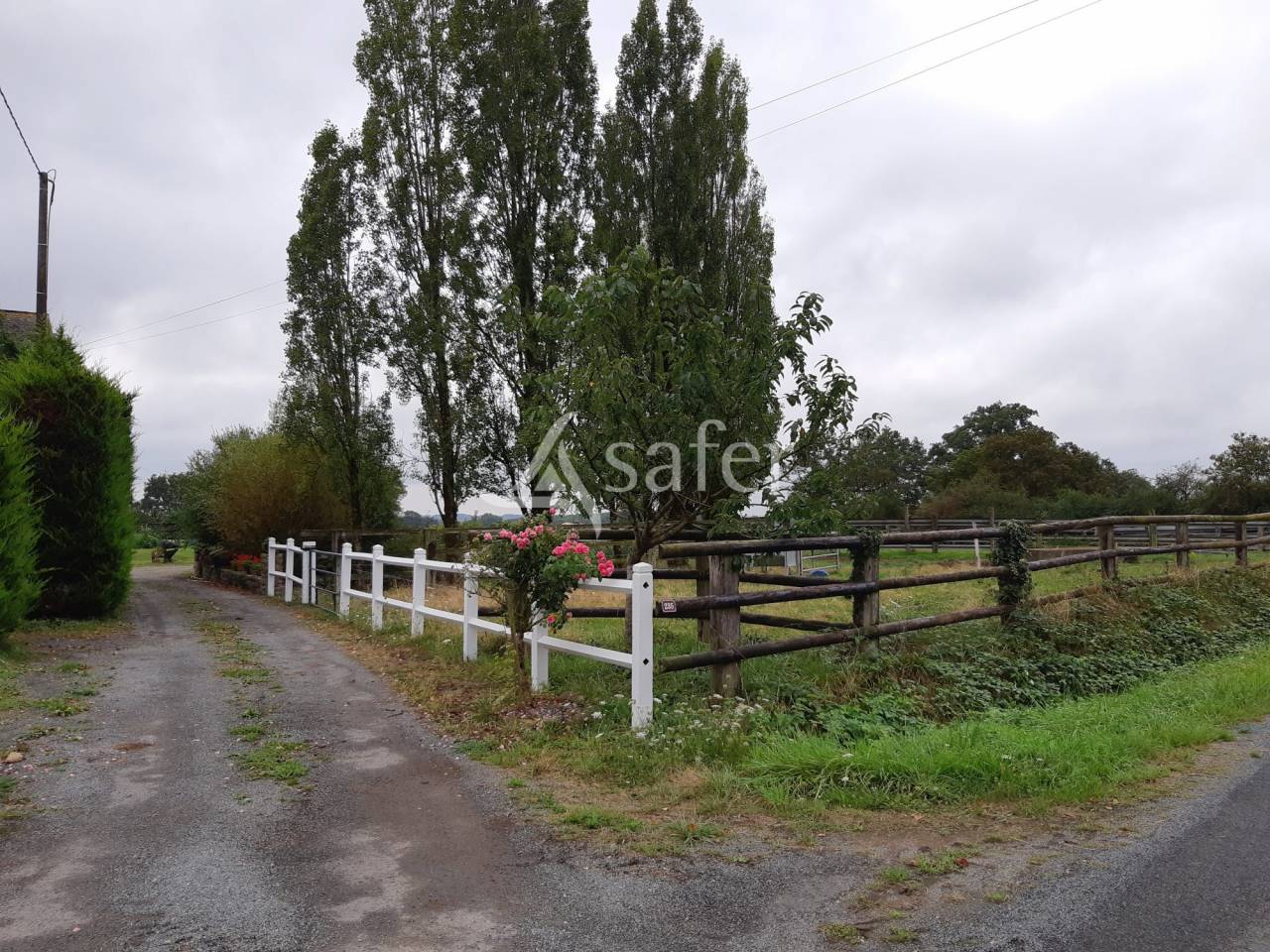Azienda ovina In vendita Mayenne