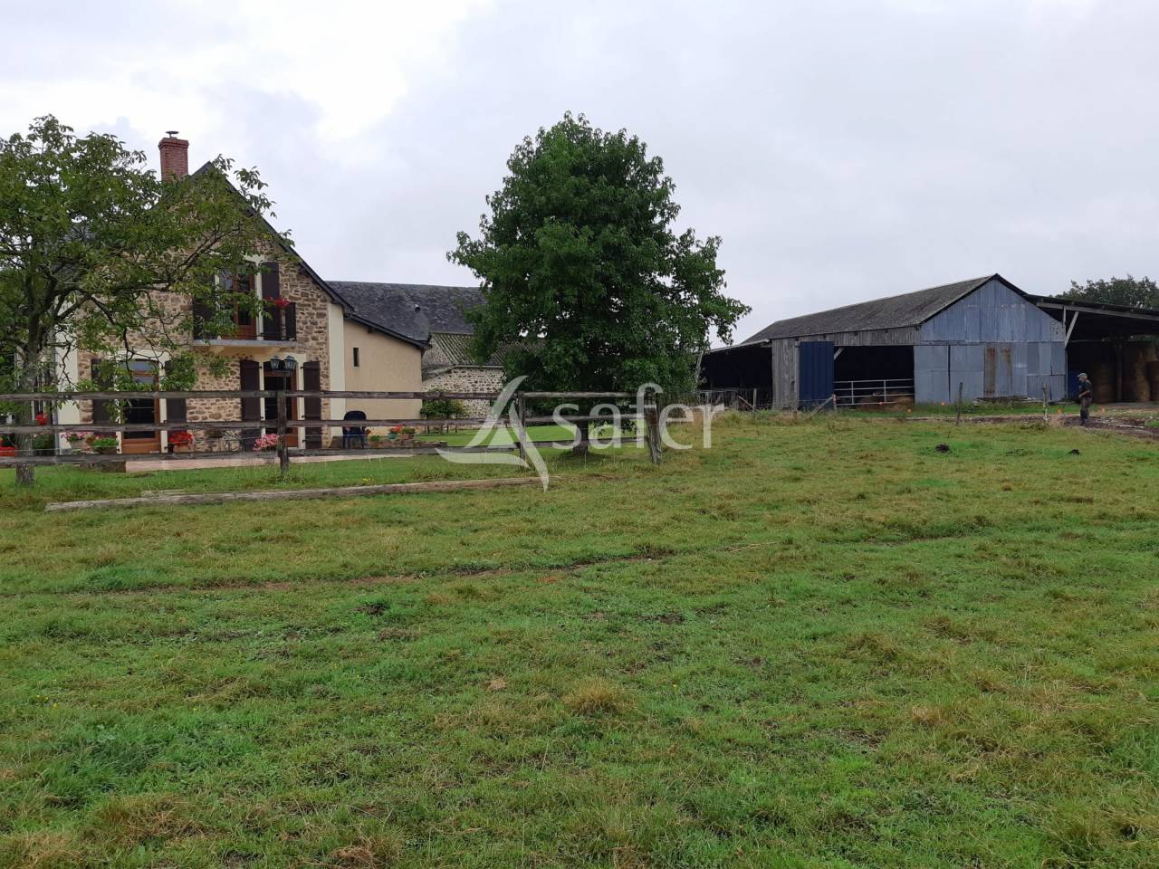 Azienda ovina In vendita Mayenne