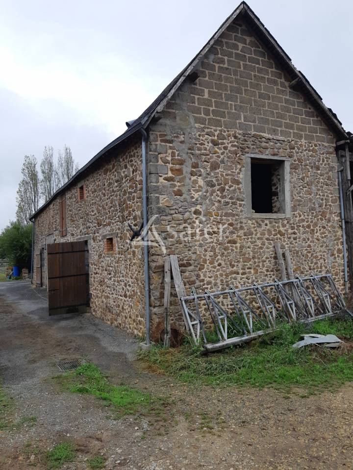 Azienda ovina In vendita Mayenne