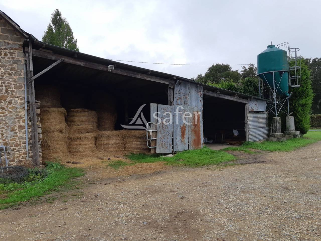 Azienda ovina In vendita Mayenne