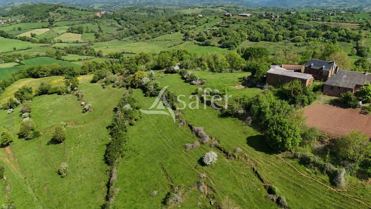 Azienda agricola In vendita Aveyron