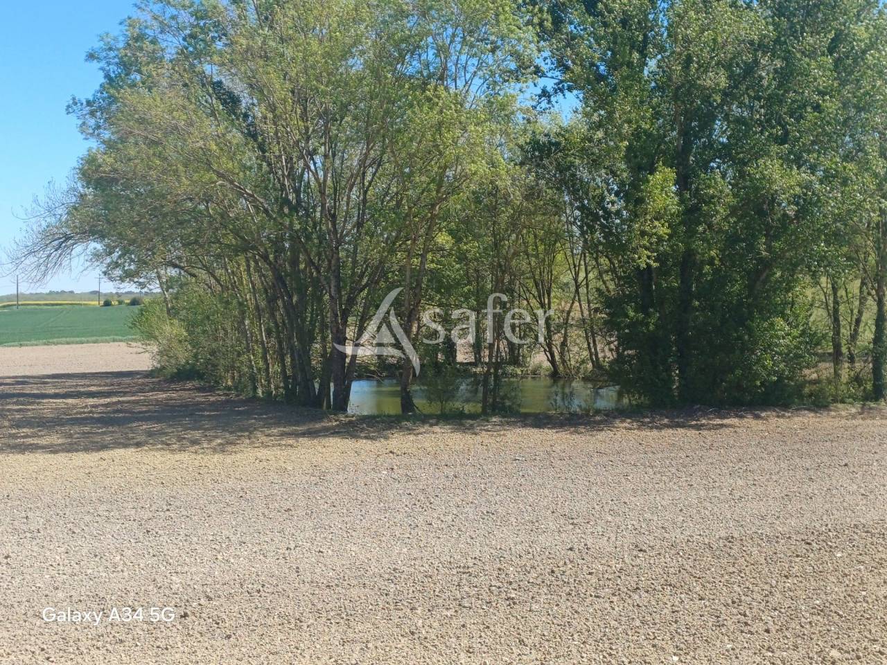 Azienda agricola In vendita Lot-et-Garonne