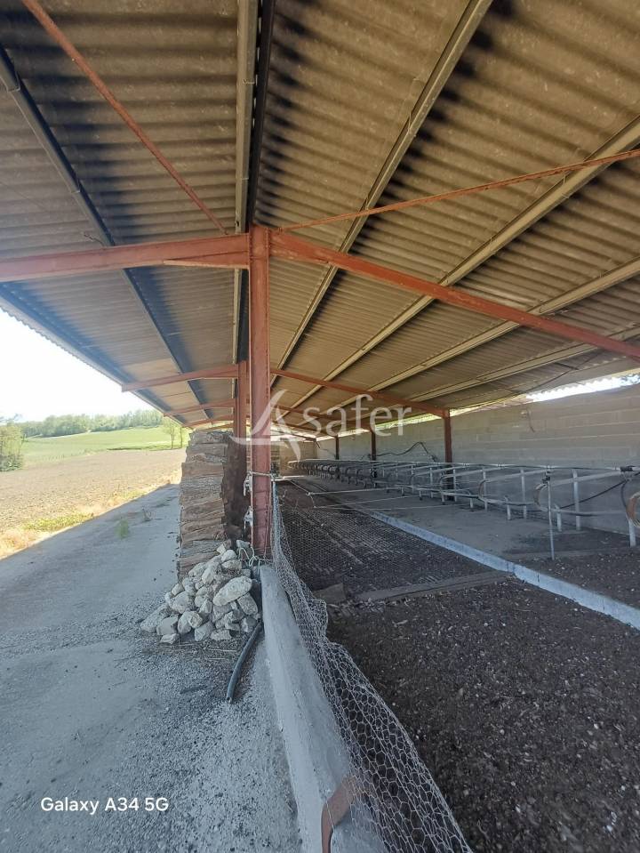 Azienda agricola In vendita Lot-et-Garonne