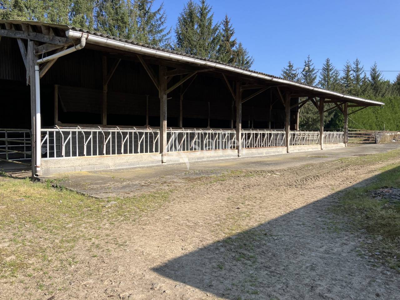 Propriet&agrave; equestre In vendita Mayenne