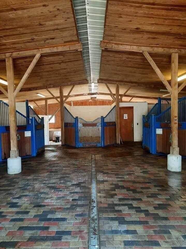 Propriet&agrave; equestre In vendita Gironde
