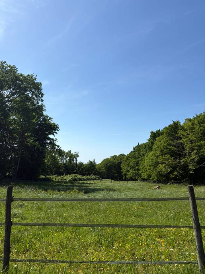 Propriet&agrave; equestre In vendita Gironde