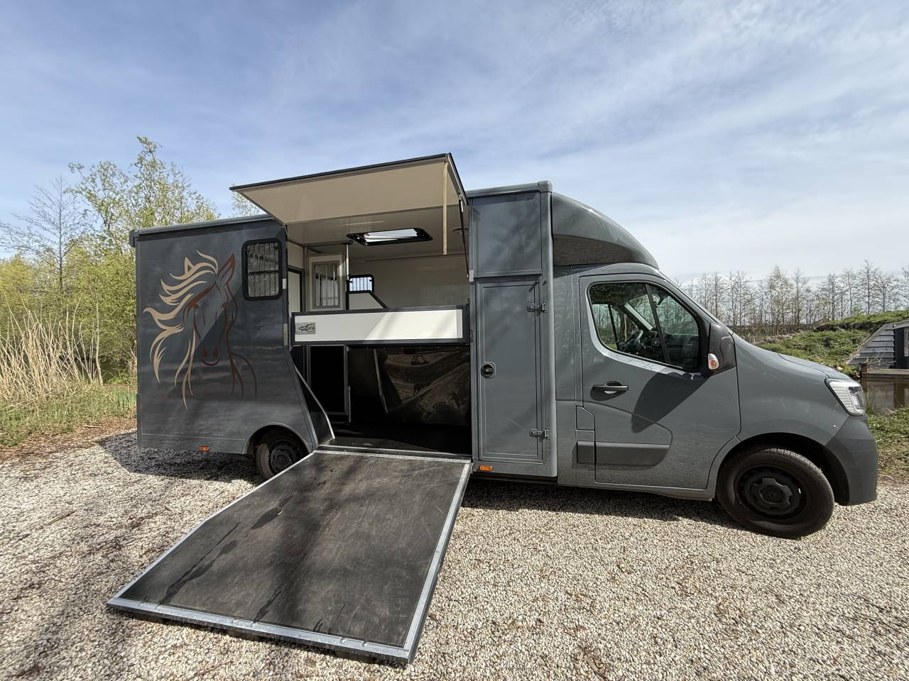 Van per Cavalli Renault Master 2022 Occasione
