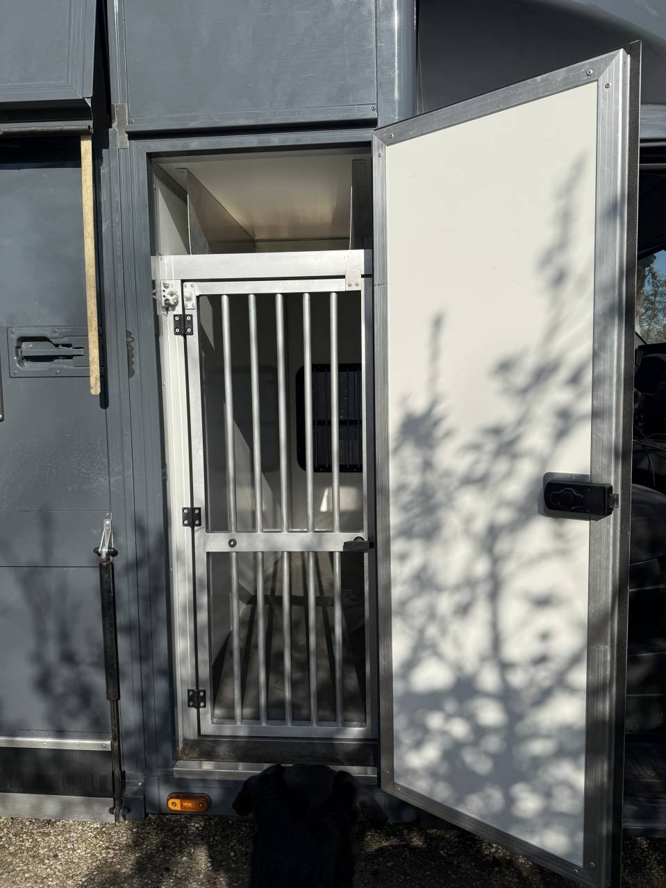 Van per Cavalli Renault Master 2022 Occasione