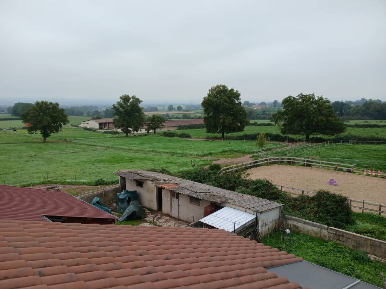 Azienda equestre In vendita Loire