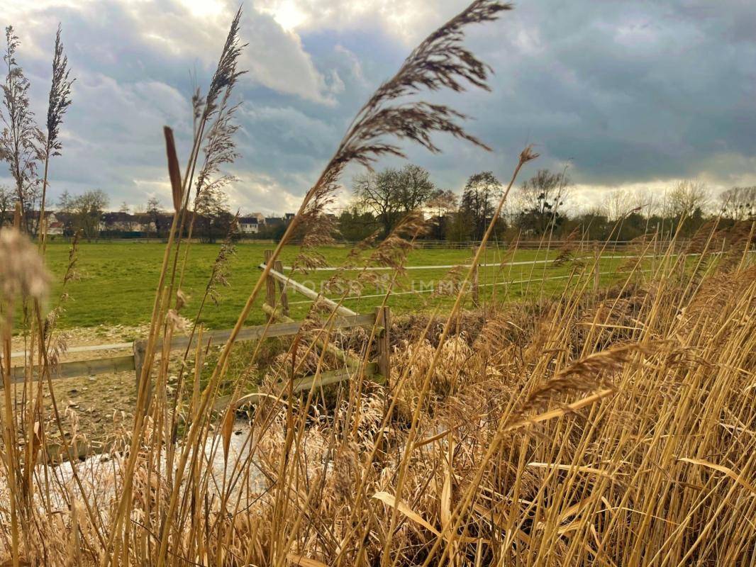 Propriet&agrave; equestre In vendita Yvelines