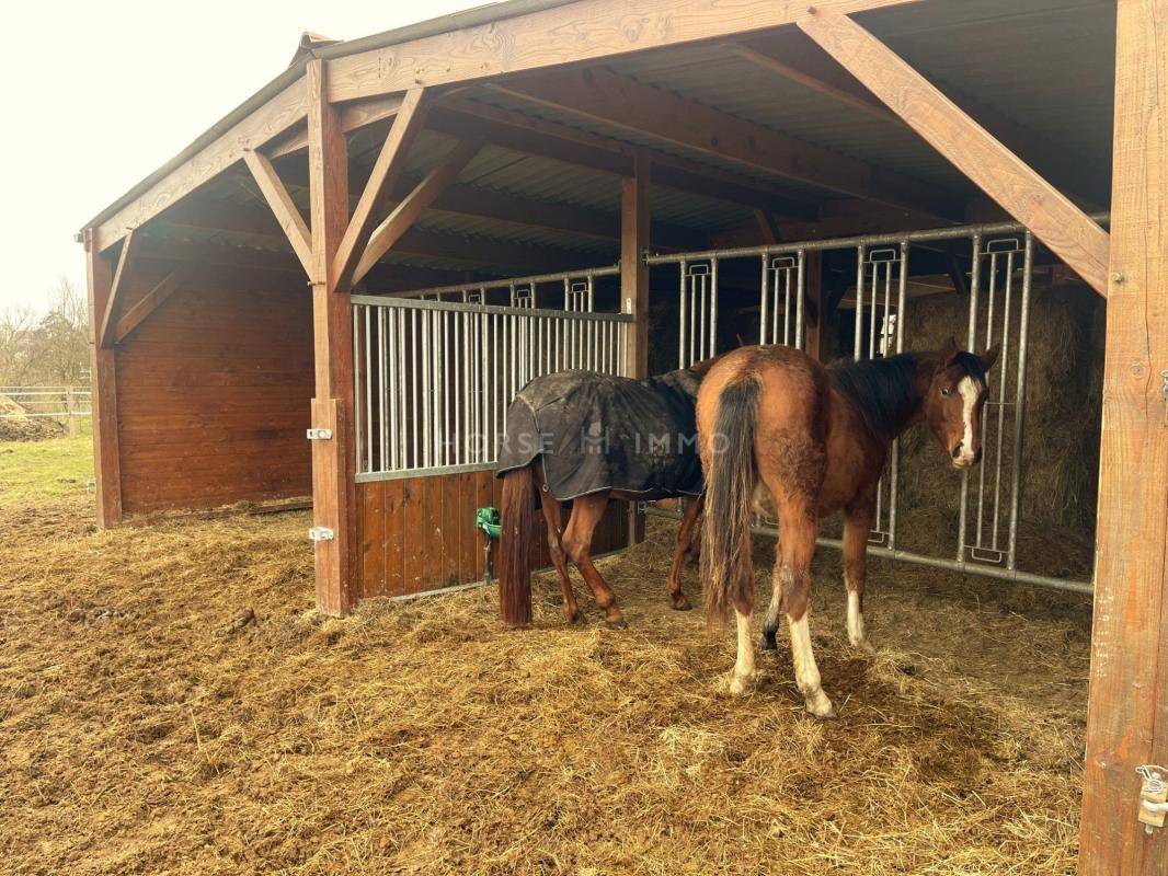 Propriet&agrave; equestre In vendita Yvelines
