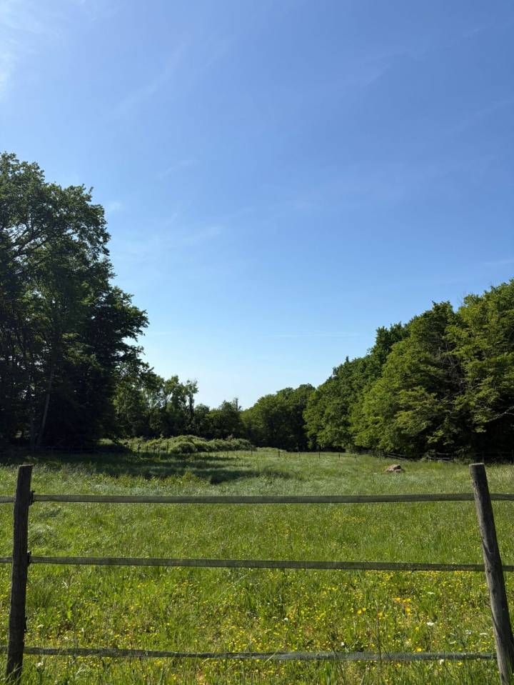 Propriet&agrave; equestre In vendita Calvados