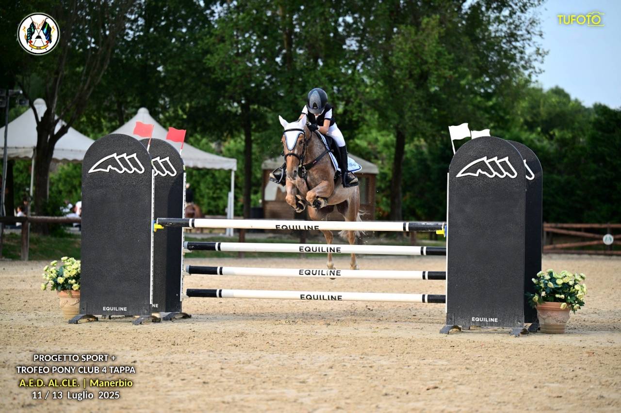 Vendesi pony francese femmina 7 anni